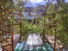 -喵屿·大理花园猫咖