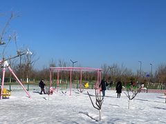 -绿野森林乐园冰雪季