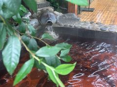 -云涛森林温泉