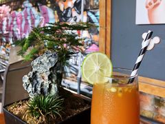 百香果红茶-柴犬高等学院·狗咖·柴犬售卖·宠物训练