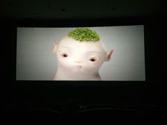 放映厅-华星国际影城