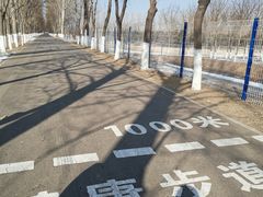 -东郊湿地公园