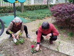 -上海市奉贤区奉城镇敬老院(洪天奉城分院)