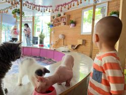 -萌宠亲子动物乐园(槐房万达店)