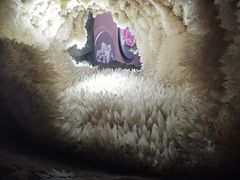 -湖南省地质博物馆