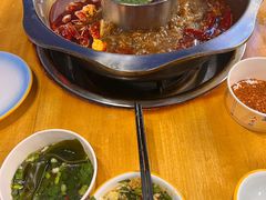 -金鼎雪山牦牛杂火锅(理县总店)