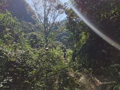-抱龙峪