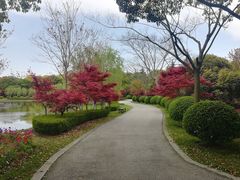 -上海鲜花港