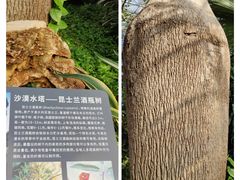 -北京植物园-展览温室