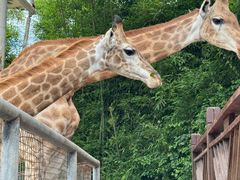 -泉州海丝野生动物世界