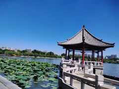 -济南大明湖景区