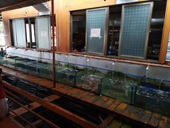 -蓝湾碧波·老字号·疍家非遗海上餐厅