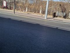-天津市第二中学