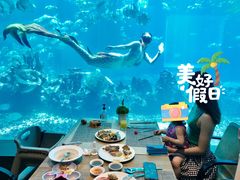 -海棠湾洲际-涛·海底餐厅·美人鱼·自助餐·海底隧道
