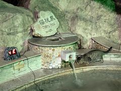 -春晖园度假酒店温泉