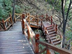 -大岭沟猕猴桃谷风景区