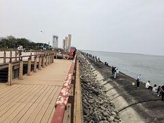 -东疆建设开发纪念公园