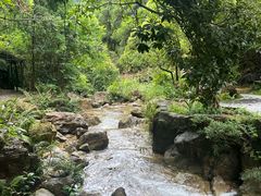 -南海湾森林生态园