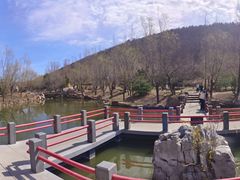 -横山寺