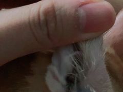 -荔康动物医院(康王北路店)