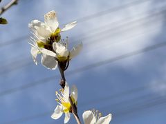 -朝阳公园
