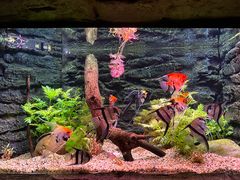 -上海海洋水族馆