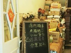 -猫色咖啡·猫咖