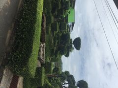 iphone_upload_pic-东芭乐园