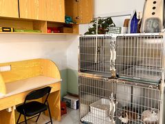 -中农大我爱我爱动物医院·核磁CT·猫病·24小时夜诊中心(石佛营店)
