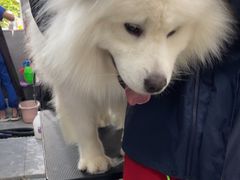 -宠福鑫康馨动物医院·骨科·眼科