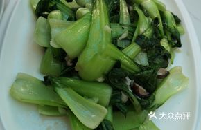 Stir-fried Small Bok Choy with Garlic