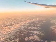 -全日本空输株式会社(上海办事处)