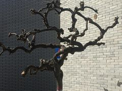 -关中书院