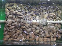 花甲-覃记海鲜美食餐厅