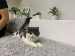 -拜鲁耶动物诊疗中心·宠家动物医院