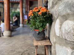 -寂照庵