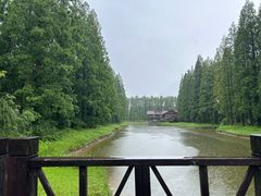 -黄海国家森林公园