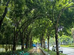 -科兴科学园