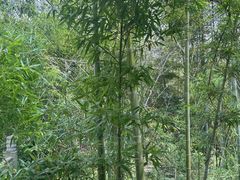 -余姚阳明温泉山庄