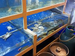 -碳说品道.瓦片烤肉.海鲜烧烤(中华路店)