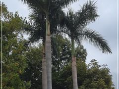 -广州市白云山风景名胜区