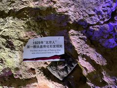 -周口店北京人遗址公园