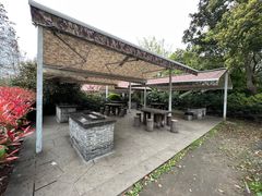 -上海滨江森林公园