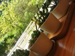 -Cafe Villa