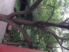 iphone_upload_pic-乌山风景区