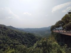 -大余丫山旅游度假区