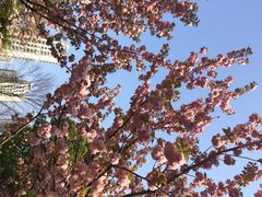 梦清园-苏州河梦清园环保主题公园