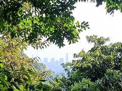 -火炉山森林公园