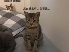 -郭阿姨月亮馍