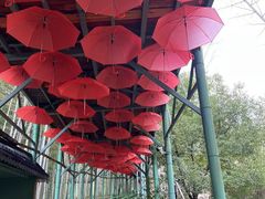 -陶祖圣境风景区